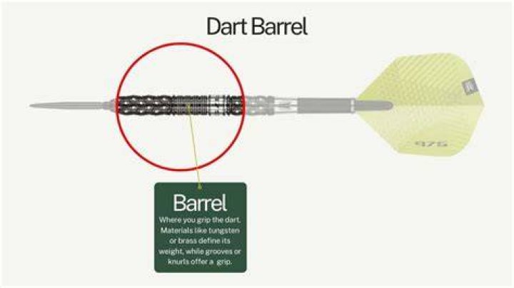 How Does Dart Get Into Dustin's Trash Can? POPSUGAR Entertainment