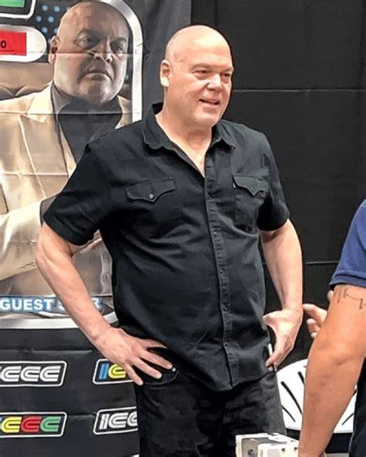How Does Vincent D'Onofrio Feel About Sean Penn Marrying His Daughter?
