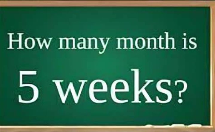 How Many Months Have 5 Weeks In 2025 Calendar Time Drucy Giralda