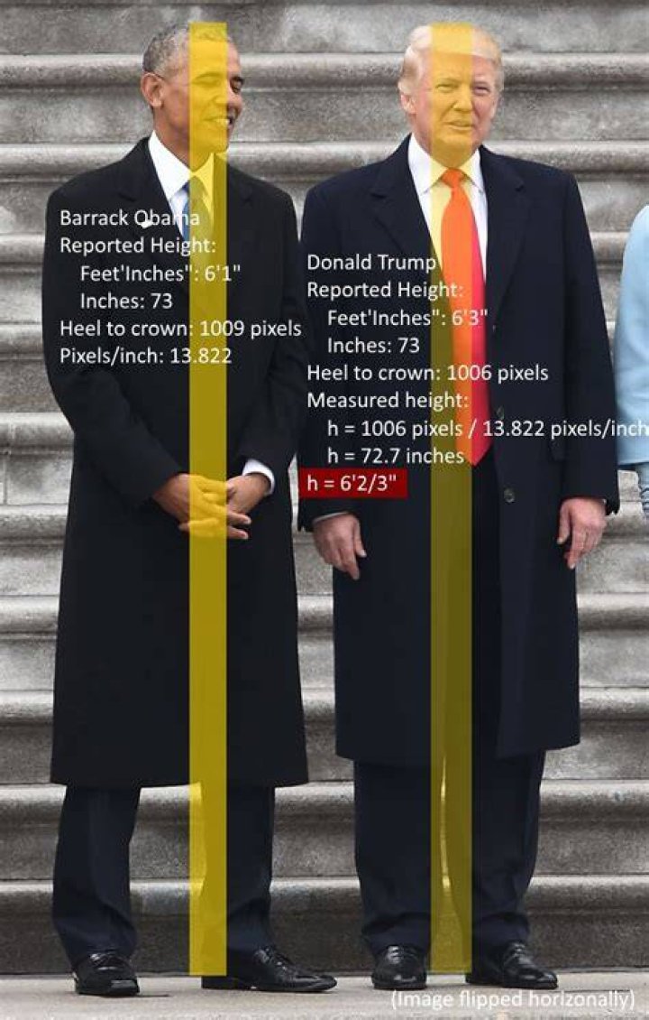 How tall is Donald Trump? Real Age, Weight, Height in feet