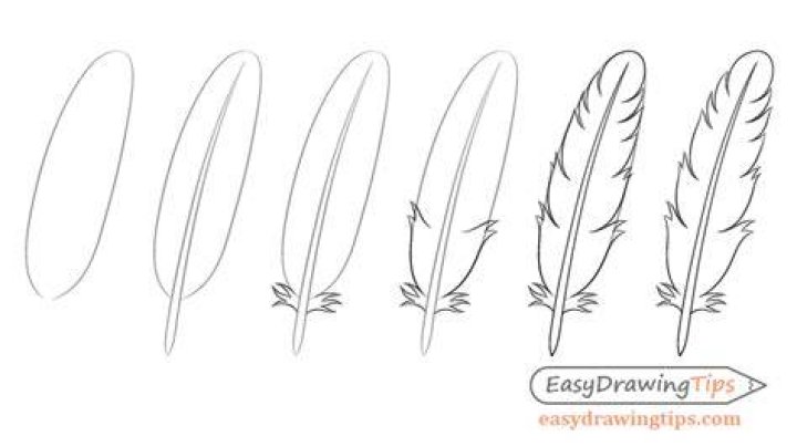 How to Draw a Feather 8 Steps (with Pictures) wikiHow