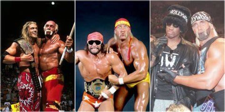 Hulk Hogan And Sky: The Ultimate Tag Team