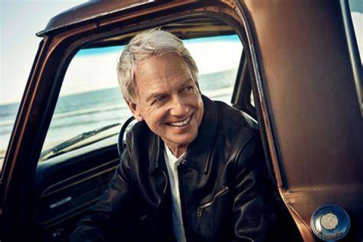 Inspiring Story behind Mark Harmon and His Wife Pam Dawber's More Than