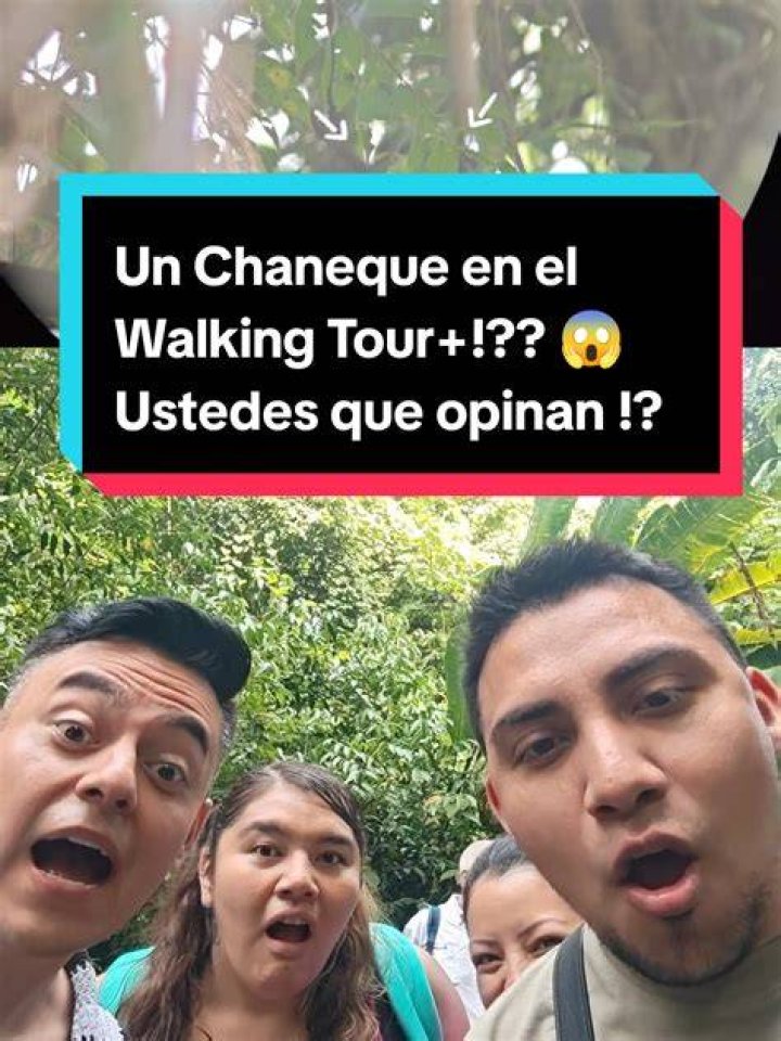 &iquest;Qu&eacute; es un chaneque? Descubre de donde provienen los chaneques Qu&eacute; es