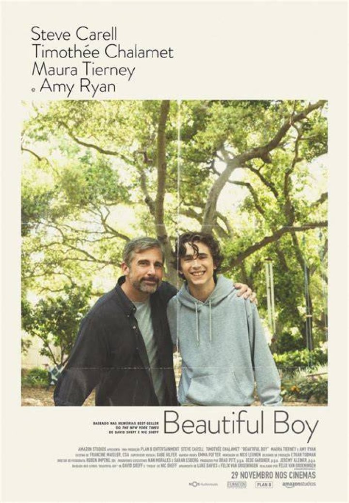 Is Beautiful Boy Movie Based On A True Story beautifuljullld