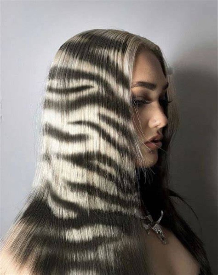 Israbi Tiger The Rapper Hair
