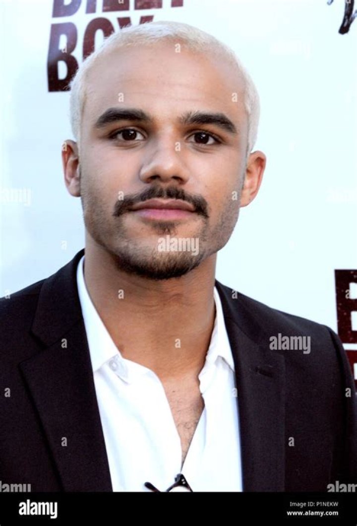 Jacob Artist attends the premiere of the film "White Bird in a Blizzard