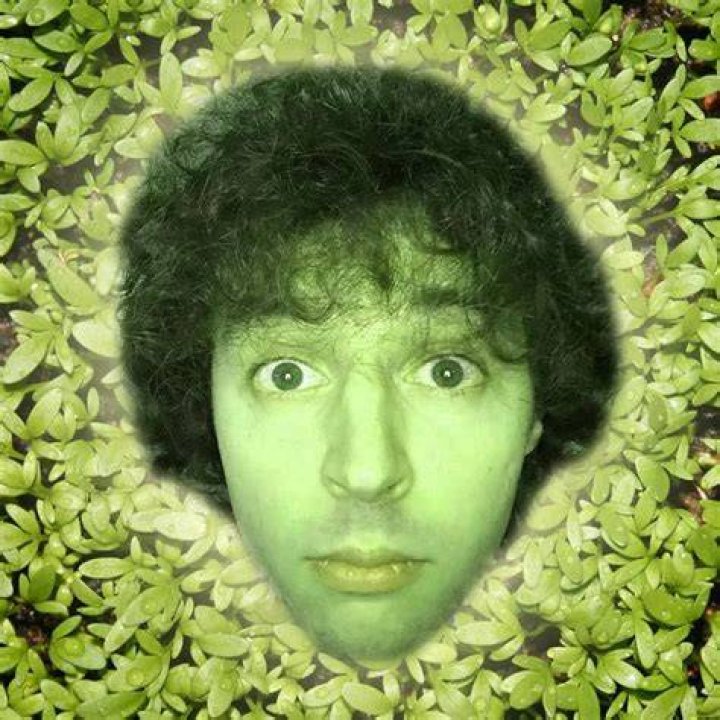 Lee Stampylonghead Fanon Wikia Fandom