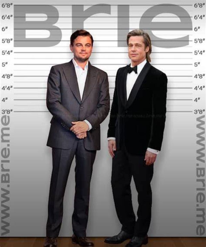 Leonardo DiCaprio Height Just How Tall is He Really? Brie