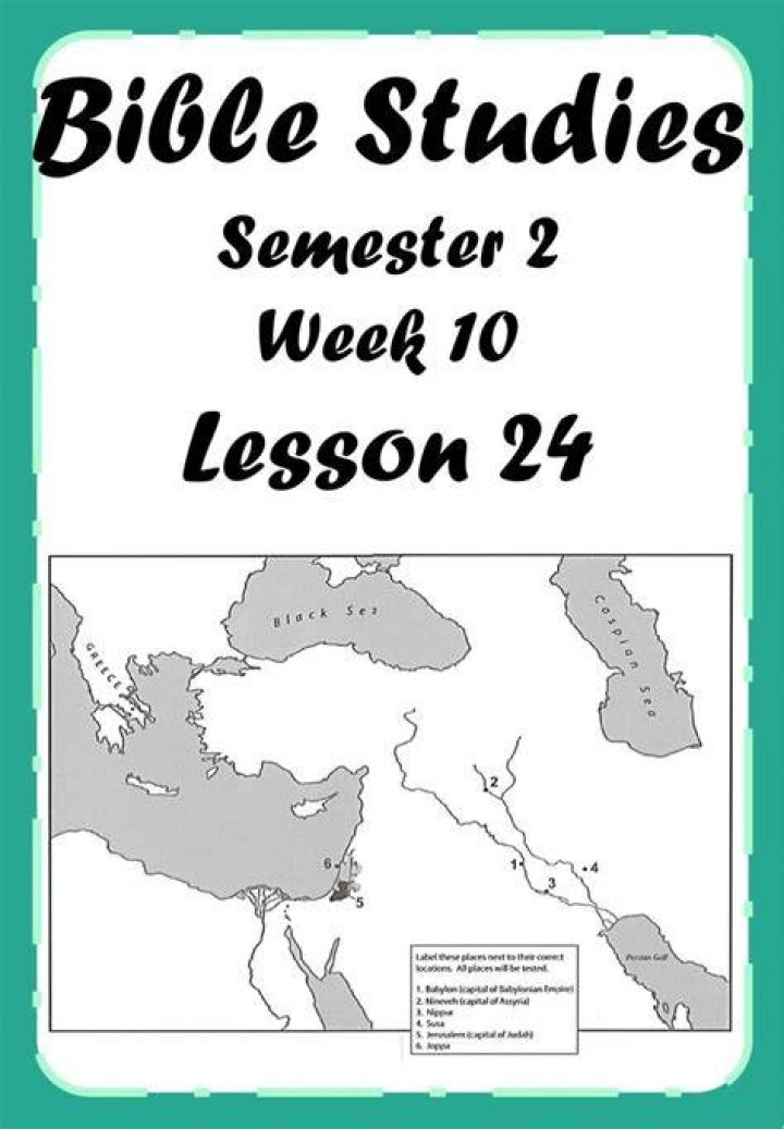 Lesson 2.4 Reading the Search Engine Results Page (Text)