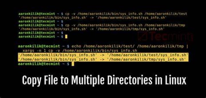 Linux how to copy file to directory