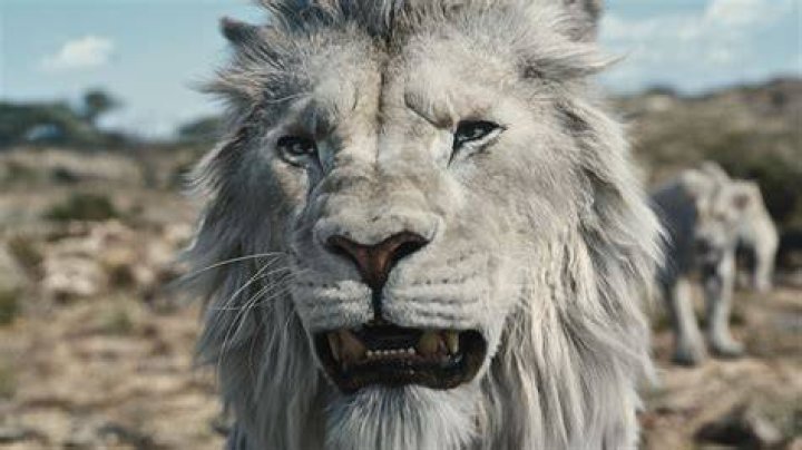 Lion King Lion king, Movie quotes, Laugh