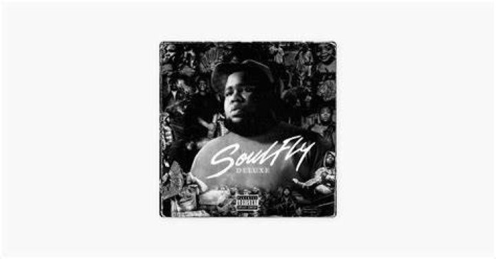&lrm;SoulFly (Deluxe Version) by Rod Wave on Apple Music