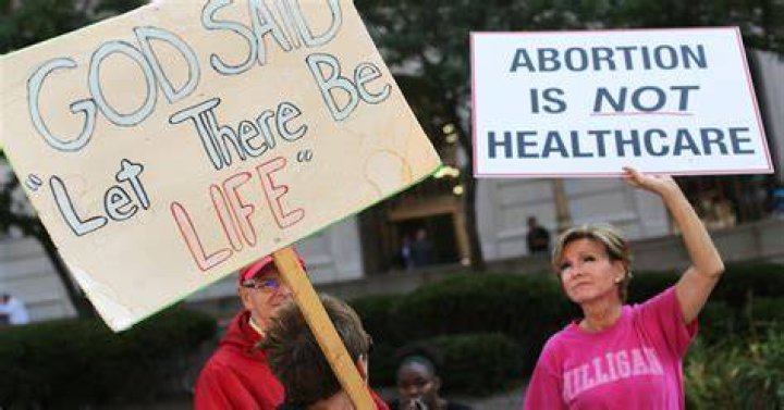 &lsquo;Free Abortions Do Not Help Women&rsquo; Former Director Reacts to What