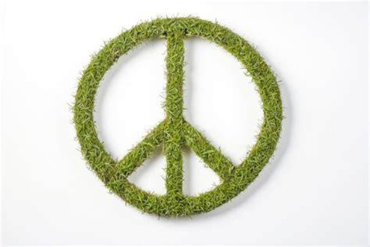&lsquo;I had made peace with dying, but the thought of being crippled was