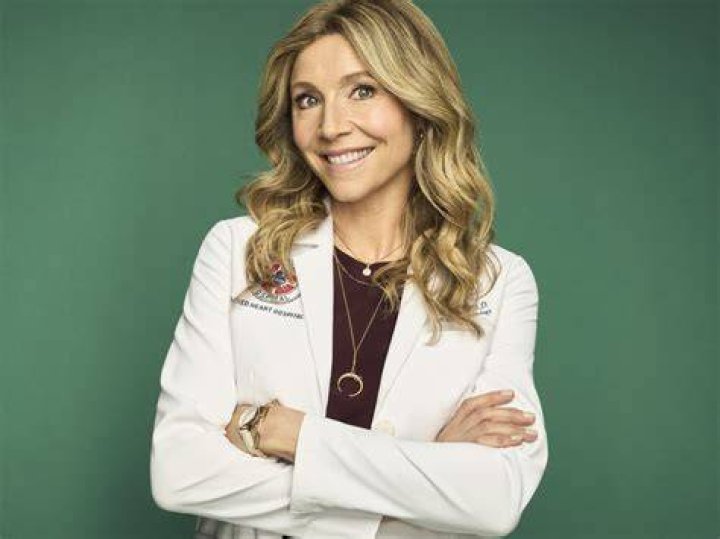 &lsquo;Scrubs&rsquo; Star Sarah Chalke Expecting First Child Access Online