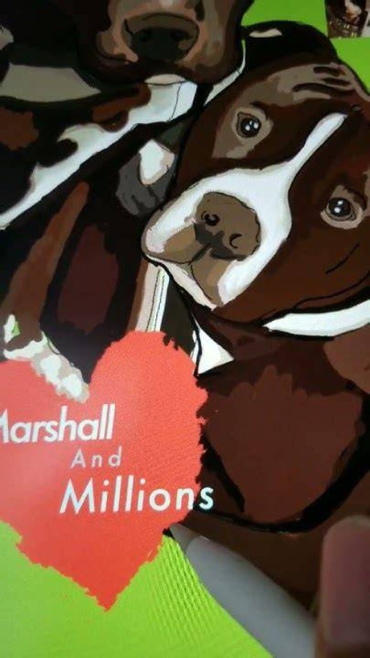 marshallandmillions 🥺🙏🙏 YouTube