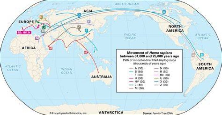 Migration MuseumTrent AlexanderArnold&rsquo;s family history reveals complex