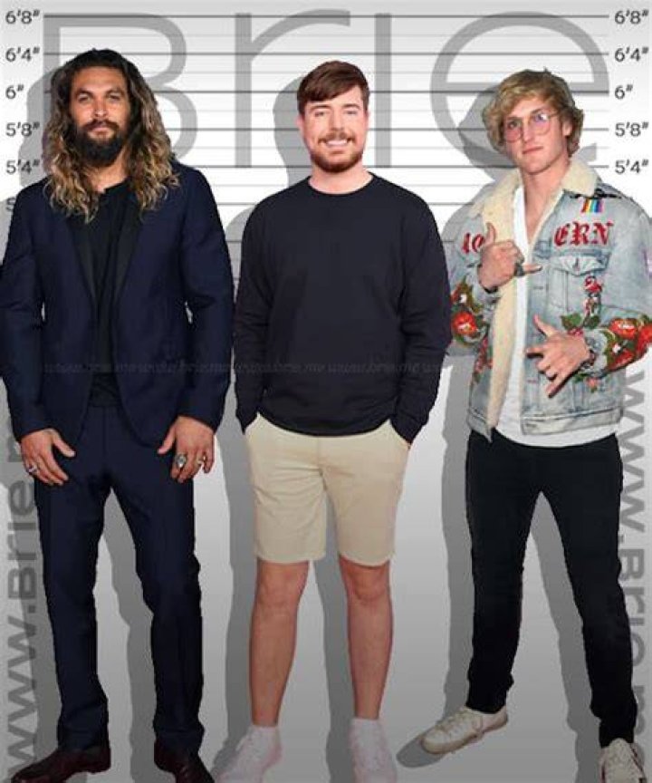 Mr Beast Height Weight Age Net Worth Biography Girlfr vrogue.co