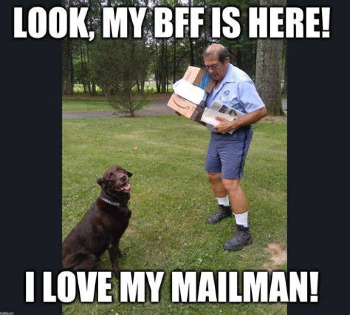 My BFF is the mailman! Imgflip