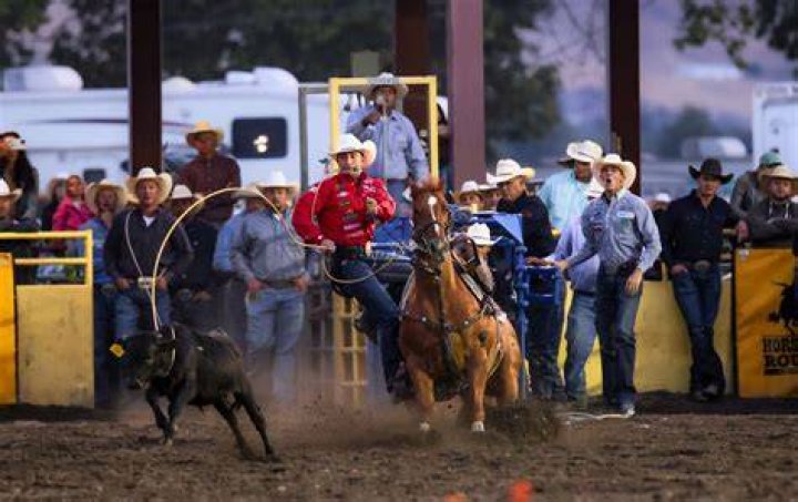 Nathan Lee In Hot Pursuit: The Chase For His Equine Bride