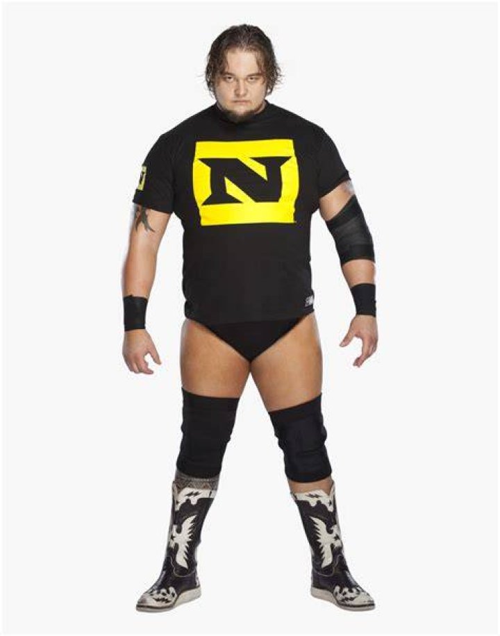 Nexus Wwe Bray Wyatt , Png Download Clipart (696595) PikPng