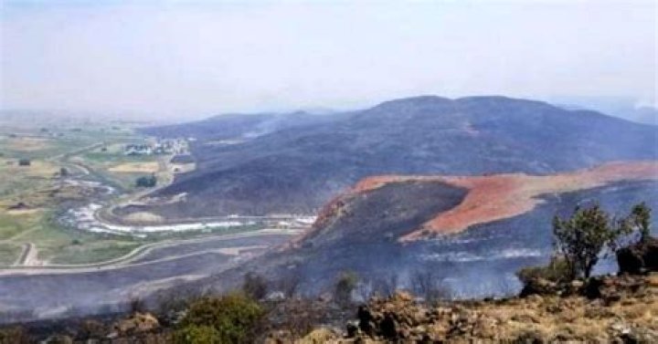 Owyhee fire 74 percent contained