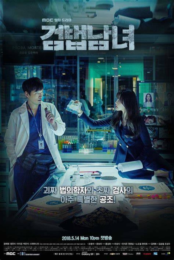 Partners for Justice (2018) MyDramaList