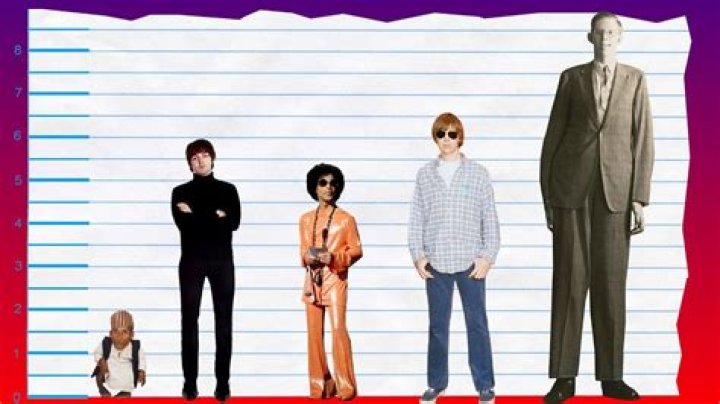 Paul mccartney height ayulsd
