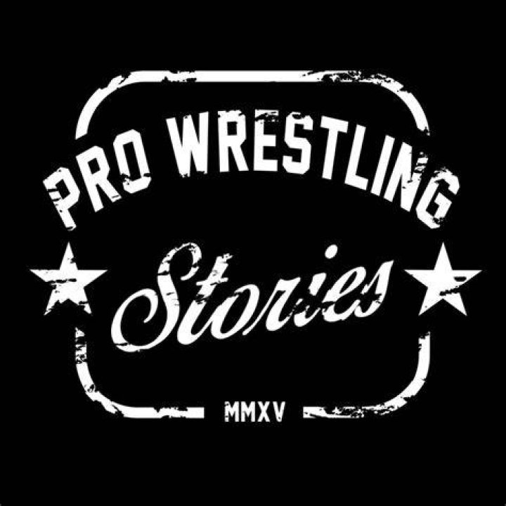 Pro Wrestling Stories &trade; on Instagram &ldquo;Like father, like sons! FCW Tag