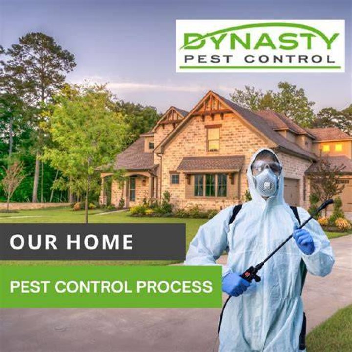 Proven Bugnot Pest Control: Comprehensive Protection For Your Home