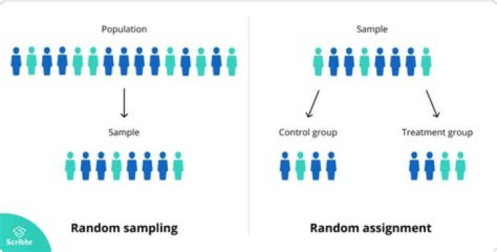 Random Sample v Random Assignment YouTube