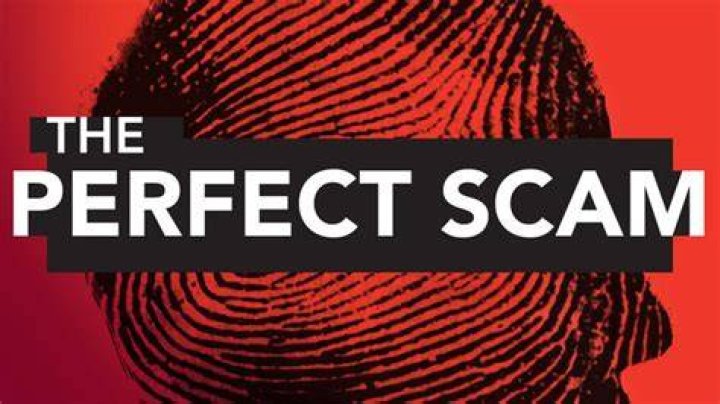 Review 2024 Perfect or Scam?