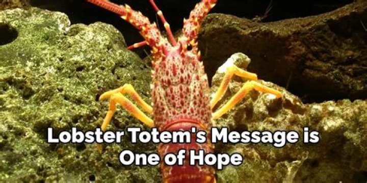 Rock Lobster Meaning, Symbolism, and Totem Explained (2024)