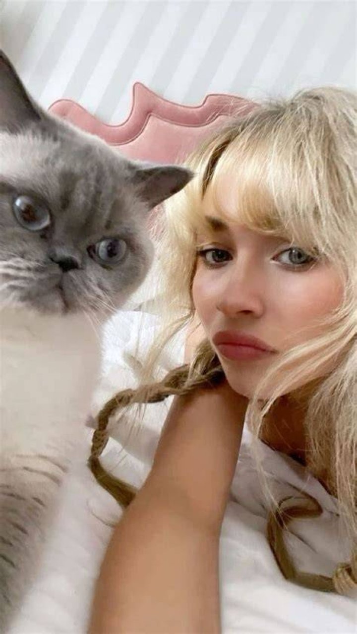 Sabrina Carpenter Jokes Her Cat 'Has Expensive Taste' After Snacking on