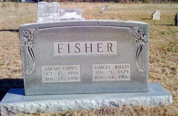 Samuel Fisher samuelffisher Fani Willis has a yearly salary of