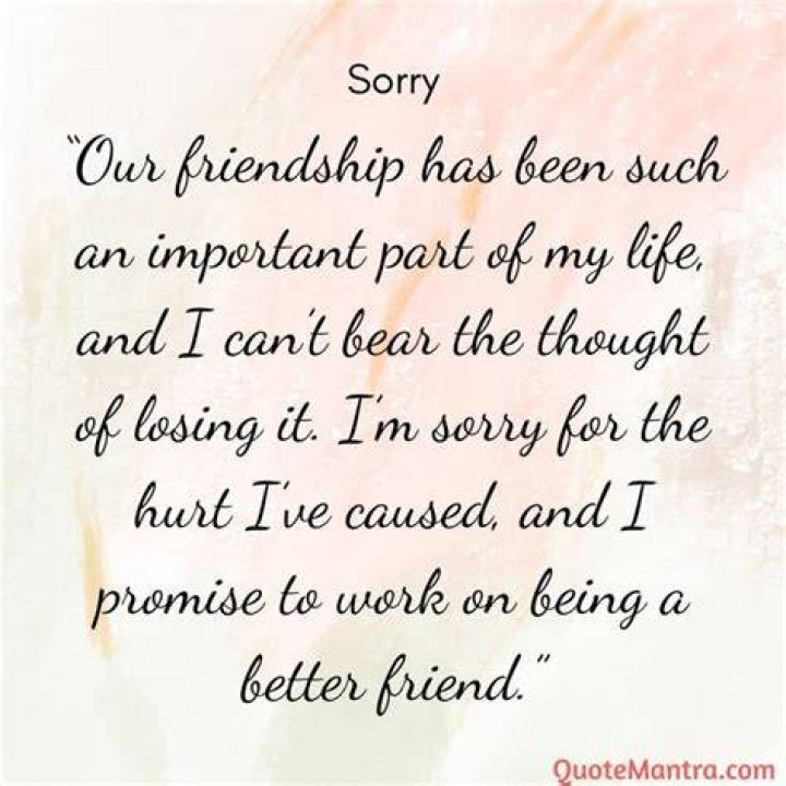 Saying Sorry Quotes For Friends Brain Quotes