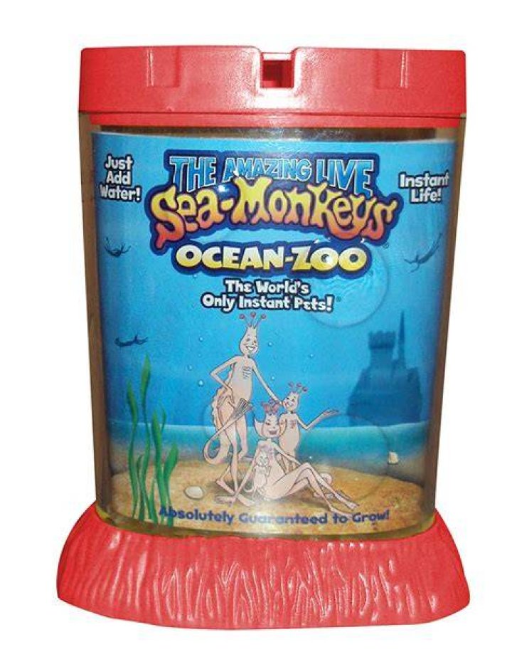 Sea Monkeys! Grow a Real Pet Friend That's Part Fish, Part Monkey!
