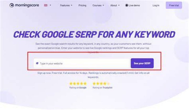 SERP Keyword Checker That Can Help You Optimize Your SEO SolutionHow