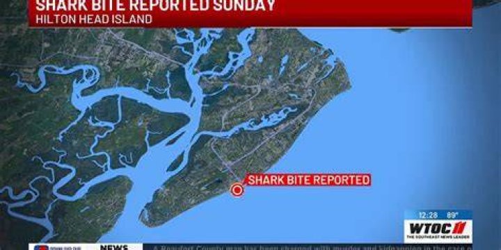 Shark bite reported in Hilton Head