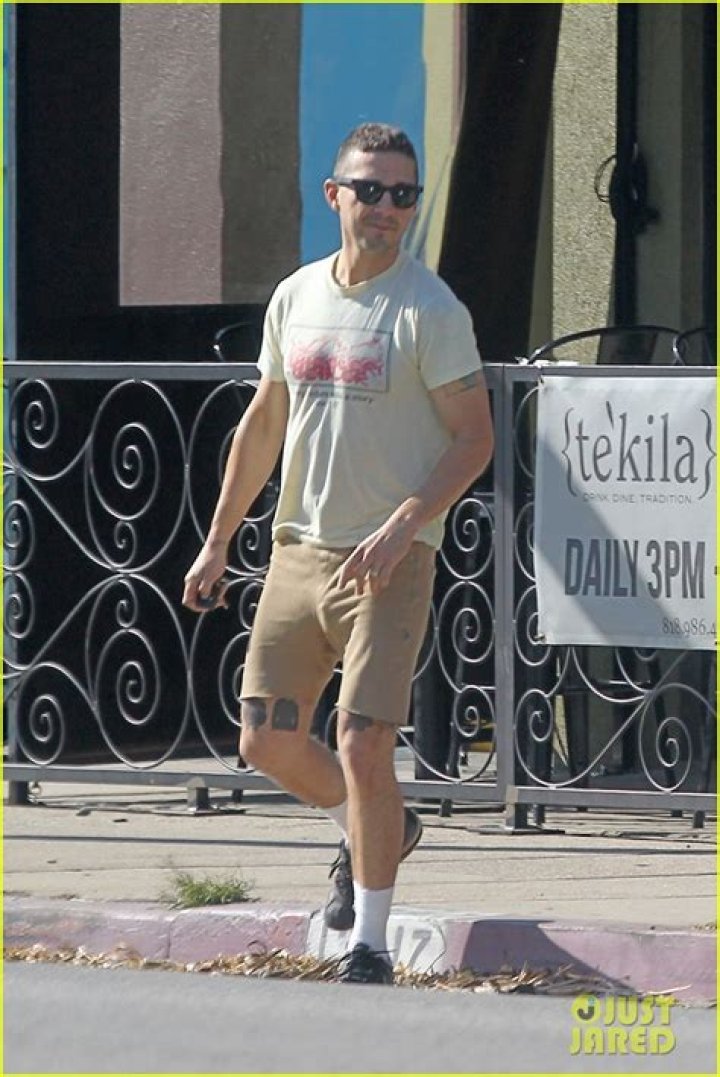 Shia LaBeouf, French Fries, and How I Stopped Worrying and Loved the