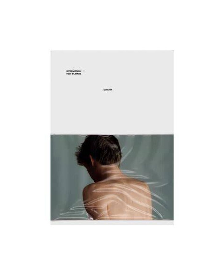 Slimane Finest Blogging Pictures Library