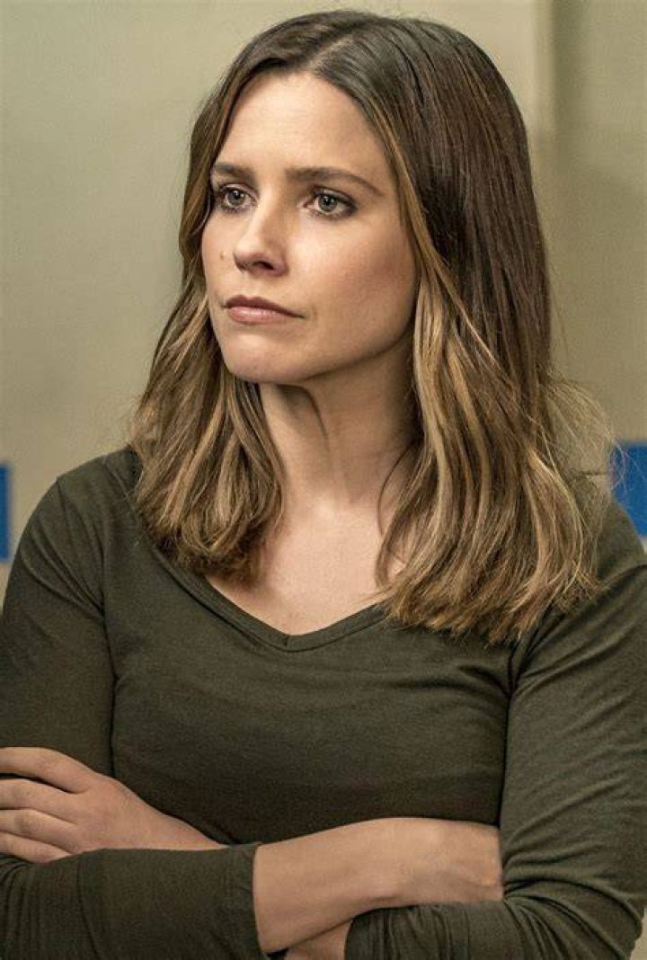 Sophia Bush & Chicago P.D. CoStar Jesse Lee Soffer Spark Romance