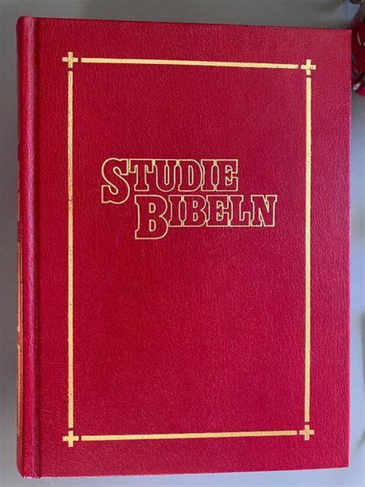 Studiebibeln (bd. 15) av Thoralf Gilbrant, Ber.. K&ouml;p p&aring; Tradera