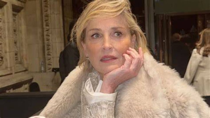 Superstar & Sporters Sharon Stone Height, Weight, Biography & Figure Size