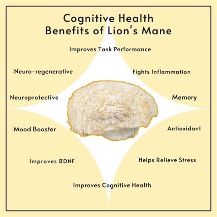 The Benefits of Lion's Mane Mushroom Evolution Botanicals