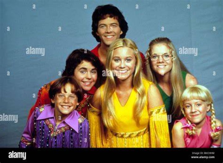 The Brady Bunch Movie (1995)