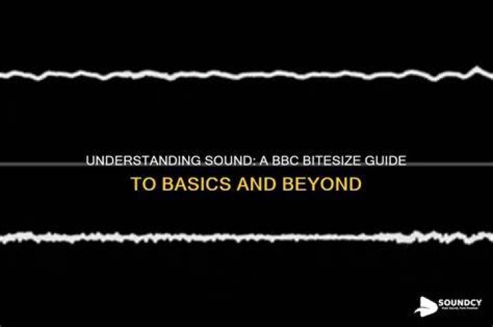 The Definitive Guide To Maoning Sound: Understanding The Basics And Beyond