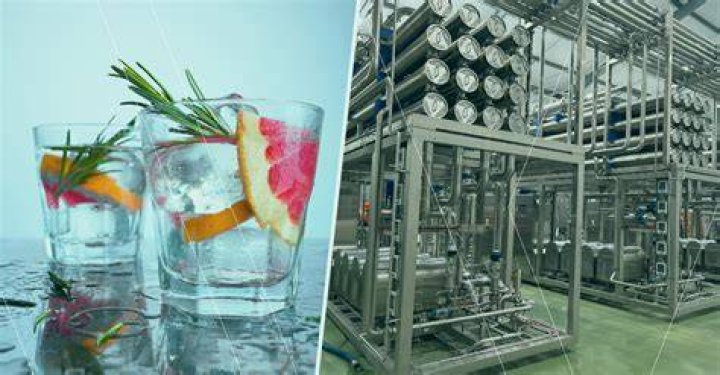 The Doerman Brothers: Renowned Leaders Transforming The Beverage Industry