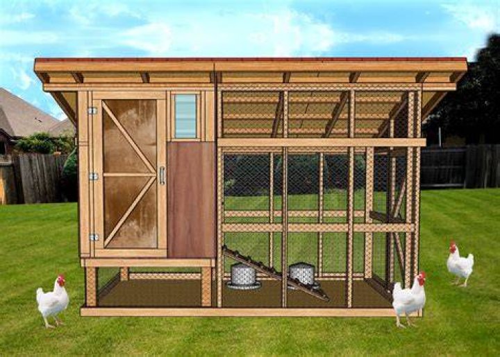 The Essential Guide To Coop Kitties: Raising Cats In Chicken Coops